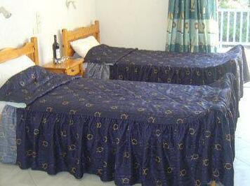 Hotel Vasilis - Photo2