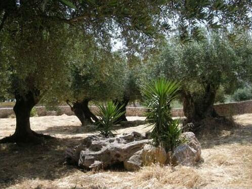 Il Veliero Cephalonia - Photo4