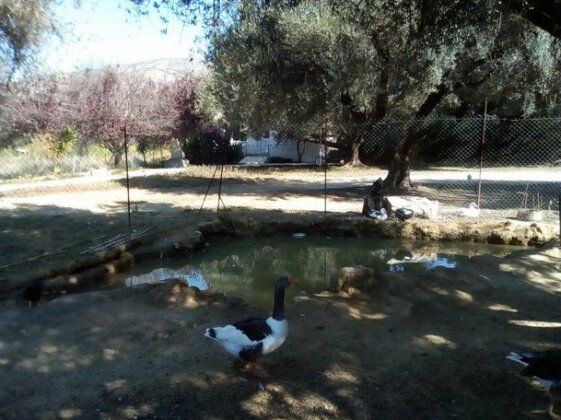 Katelios Farm House - Photo3