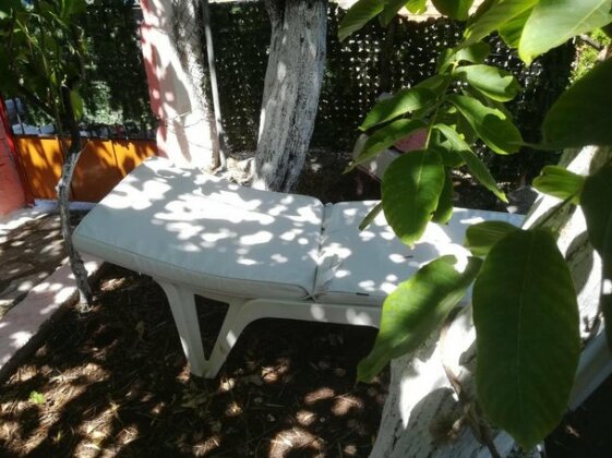 Lemon house Cephalonia - Photo5