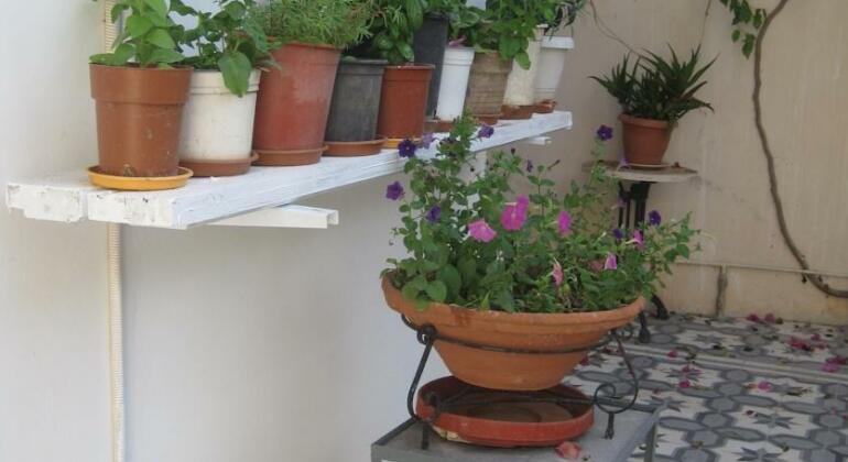 Marina Rooms Argostoli - Photo3