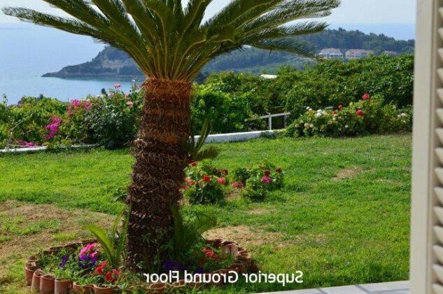 Mediterranean Studios - Photo5