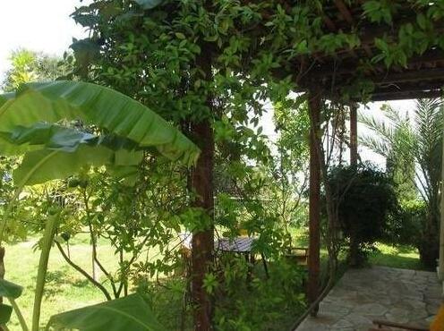 Milos Studios Cephalonia - Photo3