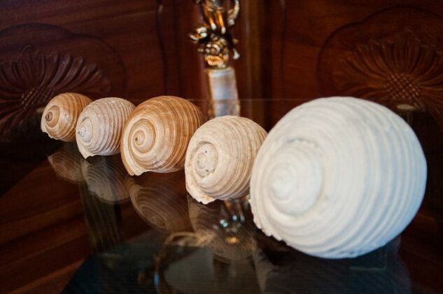 Miramare Hotel Cephalonia - Photo5