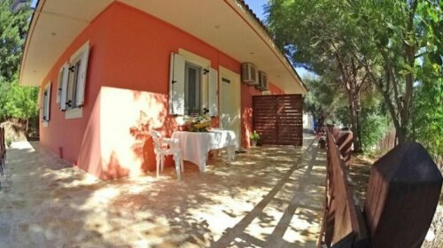 Reginas Studios