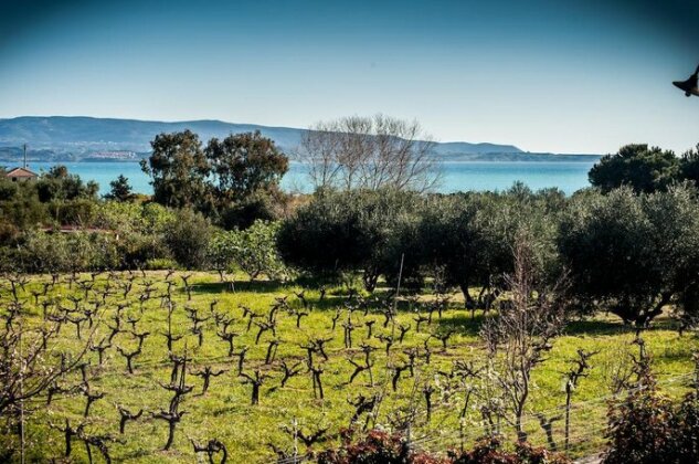 Sea View Studios Cephalonia - Photo3