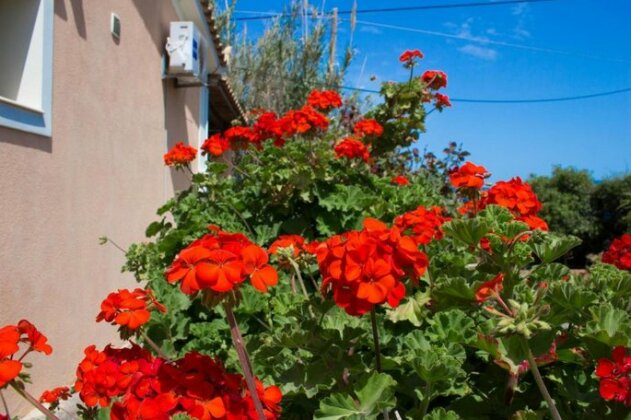 Sophias House Fanari - Photo3