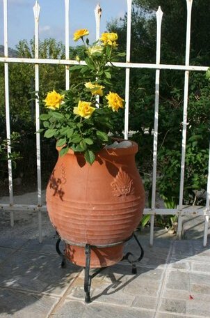 Stella Apartment Cephalonia - Photo4