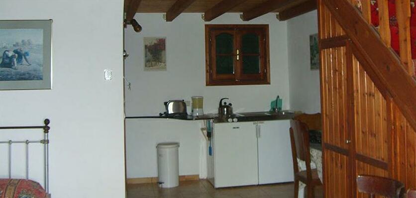 Stella Vineyard - Photo3
