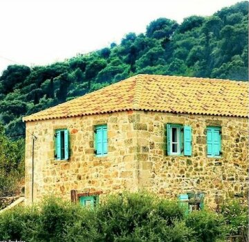The House Light & Stone