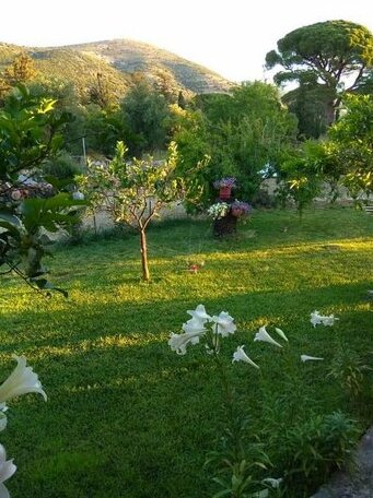 VASIANA Country House - Photo2