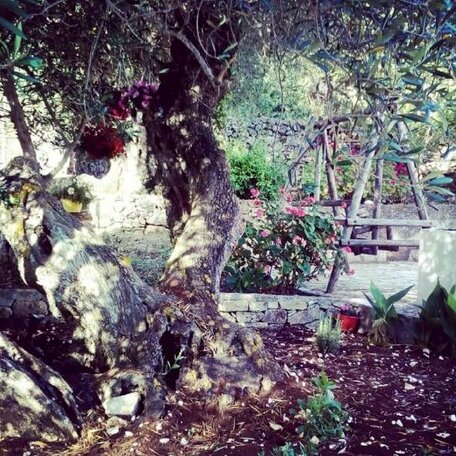 Villa Demetra 1768 - Photo5