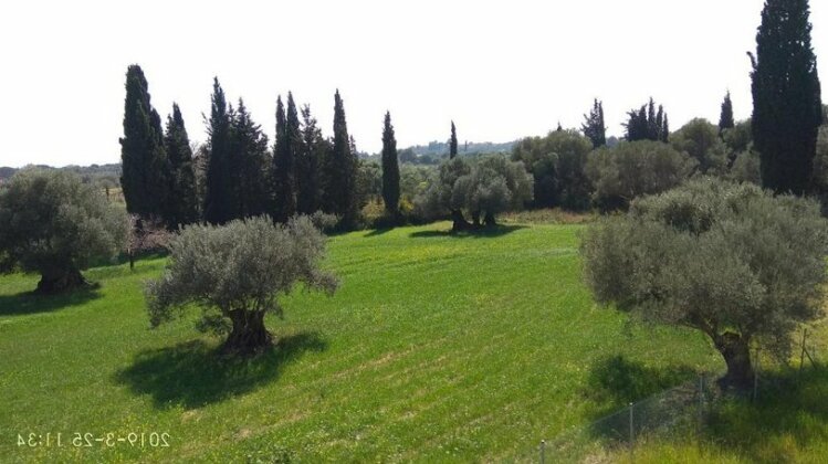 Villa Elaionas 1 - Photo5