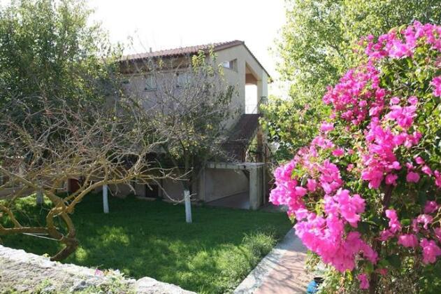 Villa Ostria Cephalonia - Photo3