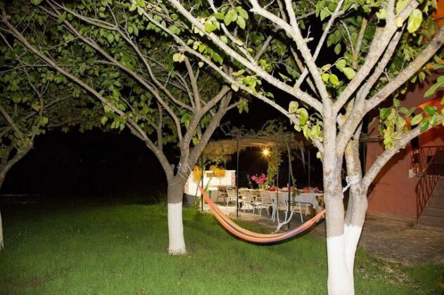 Villa Ostria Cephalonia - Photo4