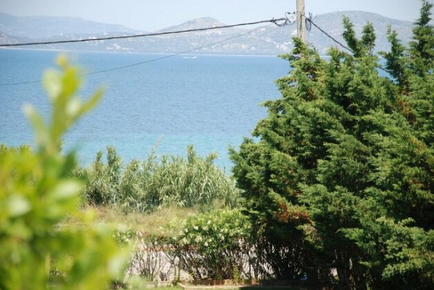 Villa Alexander Chalkida - Photo4