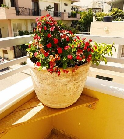 Ellis Apartments Amperia Crete - Photo4