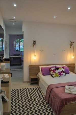 Agios gordios cozy studio - Photo4