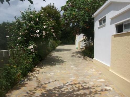 Alexandros Walnuttree Arillas Corfu - Photo5