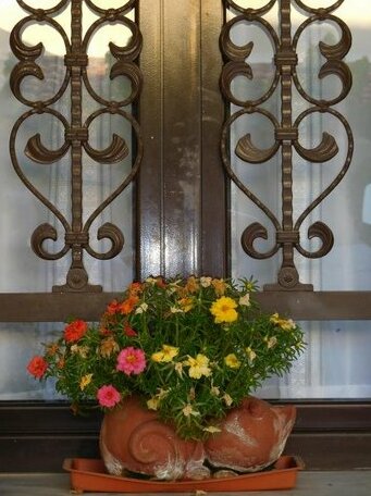 Antigoni's Apartments - Photo3