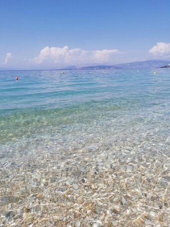 Bianco Blu - Photo3