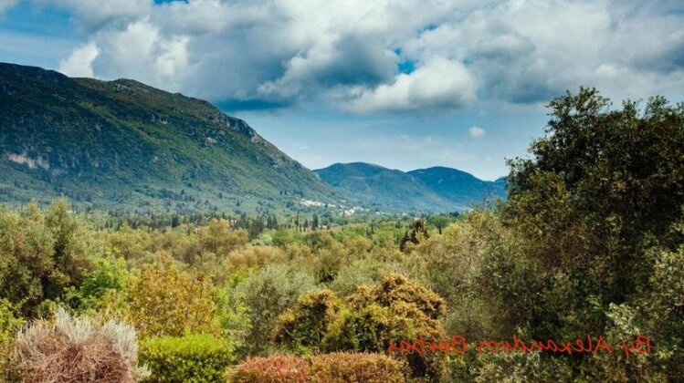 Bourikos House Corfu - Photo5