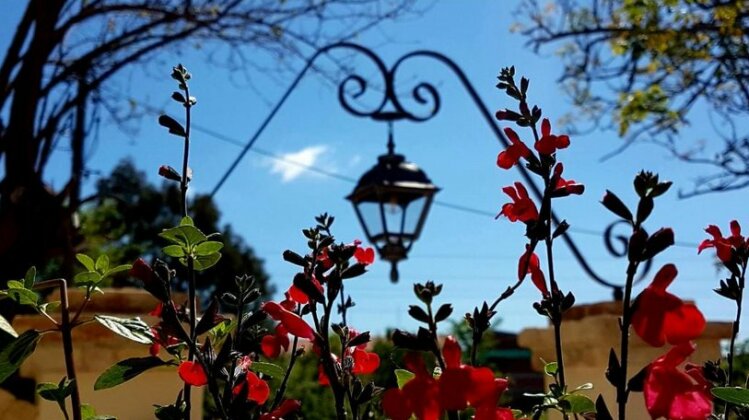 Carpofoli Corfu - Photo4