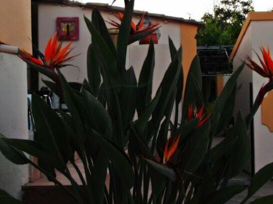 Corfu Andromeda - Photo2