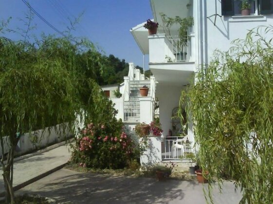 Dimitra Hotel - Photo3