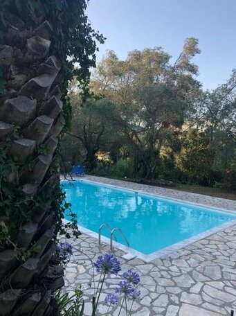 Dimoulitsa Villas - Photo2