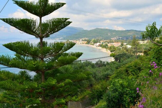 Eden Sea view studios - Photo2