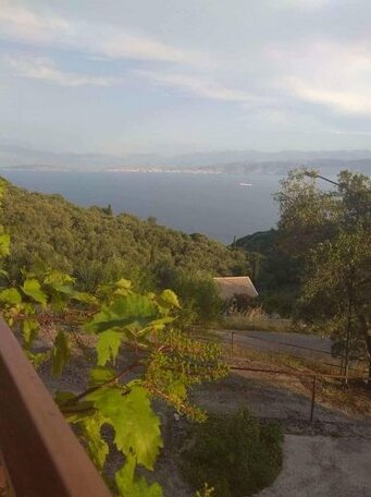 Efi Loutses - Photo3