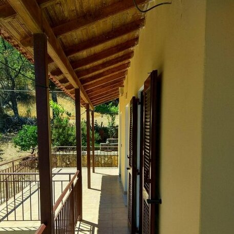Efi Loutses - Photo5