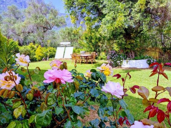 Giokos - Photo5