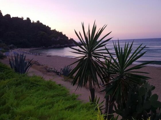 Glyfada Corfu Comfort 40 - Photo3