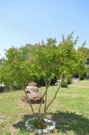 Kathrin's House - Photo5