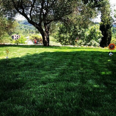 Modern eco friendly villa close to town - Photo4