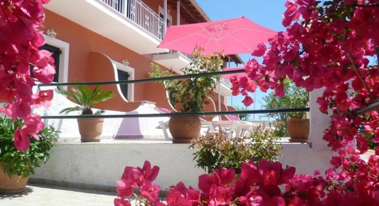 Noufaro - Photo2
