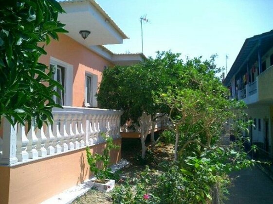 Olive Grove Studios