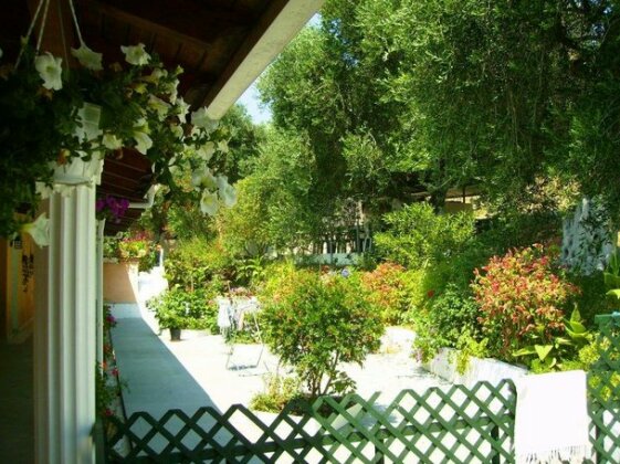 Olive Grove Studios - Photo5