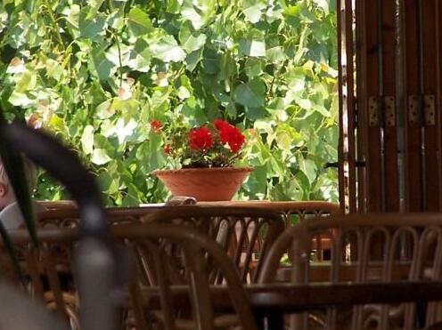 Perros Hotel - Photo4