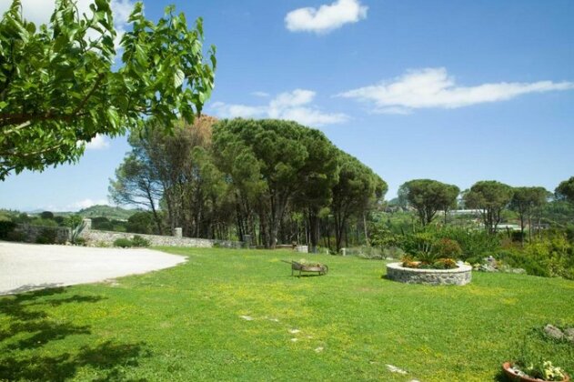 Pine Forest House - by Corfuescapes - Photo3