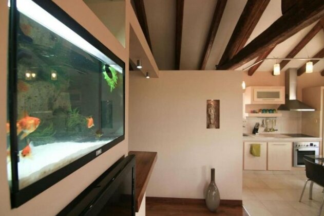 Selini - Photo5