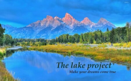 The lake project