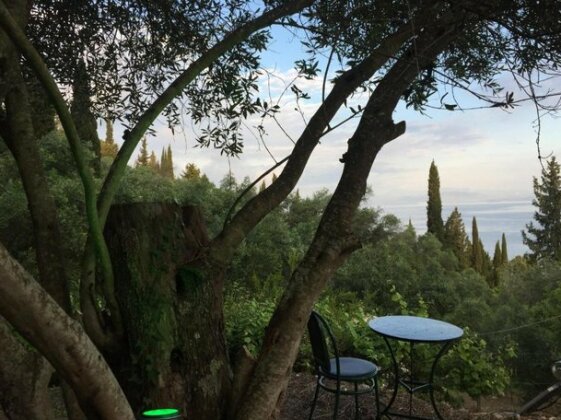 Villa Boukari - Photo5