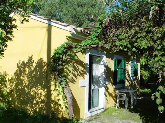 Villa Kiki Ypsos - Photo2