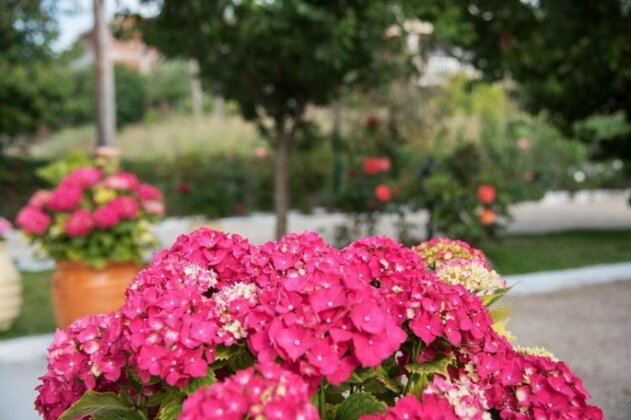 Villa Maria Corfu Island - Photo3
