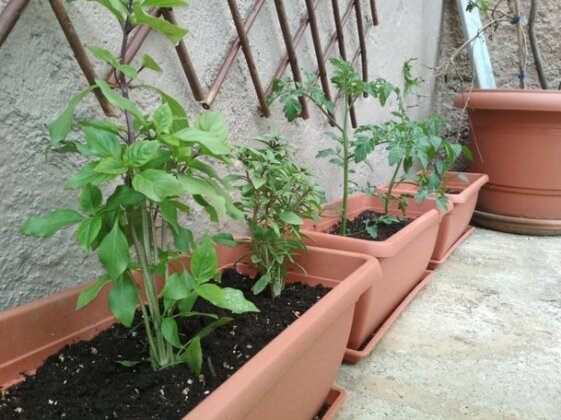 Anna's village house - Photo3