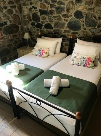 Casa Avocado - Photo3