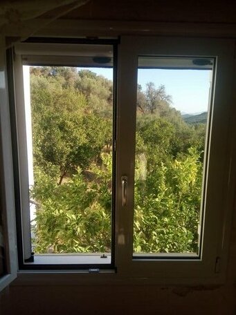 Olympia House - Photo4